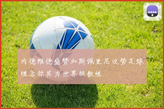 内德维德盛赞加斯佩里尼攻势足球理念称其为世界级教练