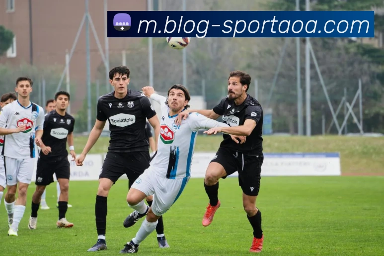 AOA体育服务体系